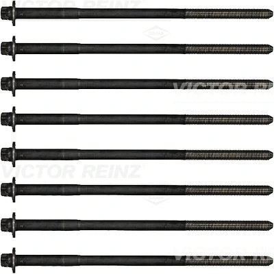 Комплект болтов головки блока цилиндров (ГБЦ) REINZ 14-55070-01