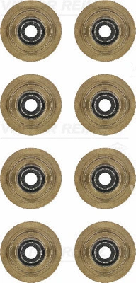 Комплект сальников клапанов REINZ 12-31056-01