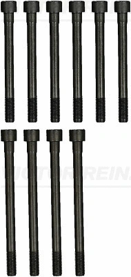 Комплект болтов головки блока цилиндров (ГБЦ) REINZ 14-55055-01