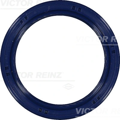 Сальник коленвала REINZ 81-53699-00