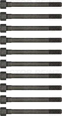 Комплект болтов головки блока цилиндров (ГБЦ) REINZ 14-55010-01