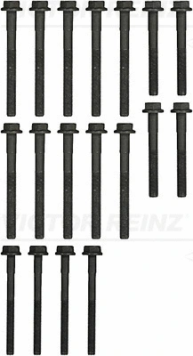 Комплект болтов головки блока цилиндров (ГБЦ) REINZ 14-32256-01