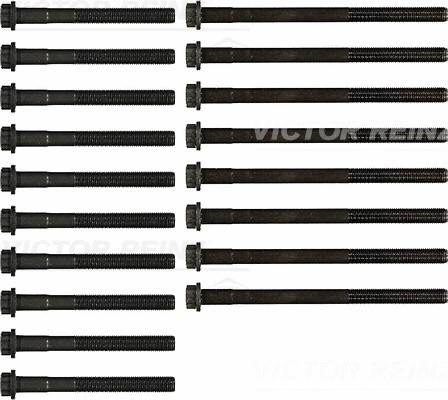 Комплект болтов головки блока цилиндров (ГБЦ) REINZ 14-55034-01