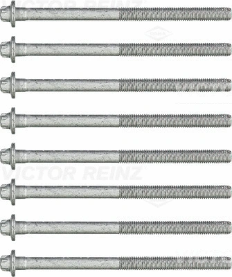Комплект болтов головки блока цилиндров (ГБЦ) REINZ 14-32215-01
