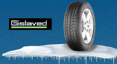Летняя шина GISLAVED EURO FROST 5 155/65R14 75T